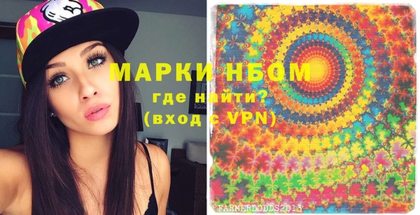 индика Козловка