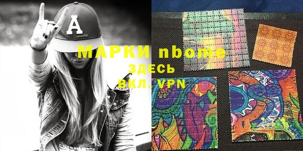 индика Козловка