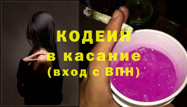 индика Козловка