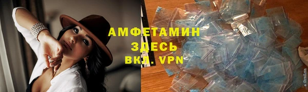 индика Козловка